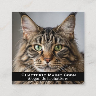 Personalisierte Visitenkarte Maine Coon Zucht