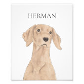 Personalisierte Vizsla Art Fotodruck (Vorne)