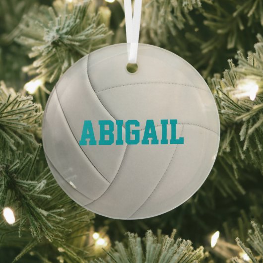 Personalisierte Volleyballverzierung Ornament Aus Glas (InSitu)