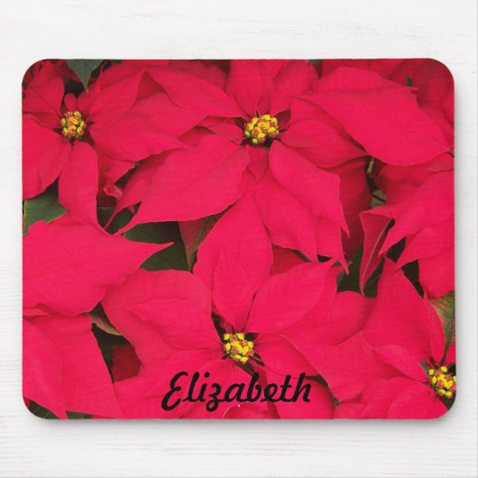 Personalisierte Weihnachtsfeiertage Poinsettias Mousepad (Vorne)