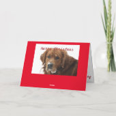 Personalisierte Weihnachtskarte für Haustiere Feiertagskarte (Rückseite)