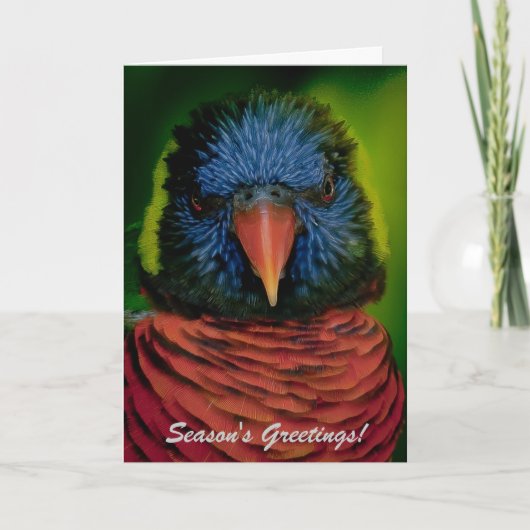Personalisierte Weihnachtskarte - Lorikeet Feiertagskarte (Vorderseite)