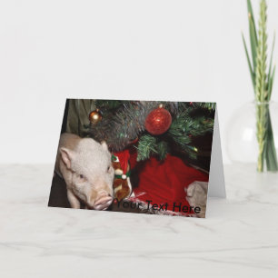 Personalisierte Weihnachtskarte Mini Pig Feiertagskarte