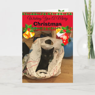 Personalisierte Weihnachtskarten für  Katzen Karte