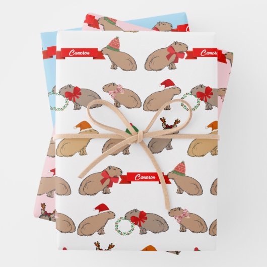 Personalisierte Weihnachtszeit Capybara Niedliche Geschenkpapier Set (Beispiel)