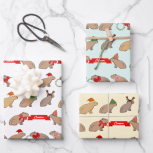 Personalisierte Weihnachtszeit Capybara Niedliche  Geschenkpapier Set