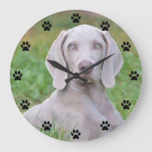 Personalisierte Weimaraner Welpenhundepuw Druckzei Große Wanduhr (Vorderseite)