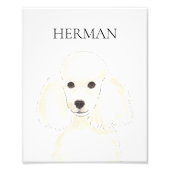 Personalisierte White Poodle Art Fotodruck (Vorne)