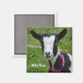 Personalisierte Zwergziege Magnet (Vorderseite/Rückseite)