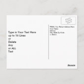 Personalisierter Adler und Flag Patriotische Postk Postkarte (Rückseite)