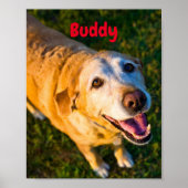 Personalisierter älterer Hund Gedenkposter Foto Poster (Vorne)