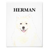 Personalisierter amerikanischer Eskimo Samoyed Hun Fotodruck (Vorne)