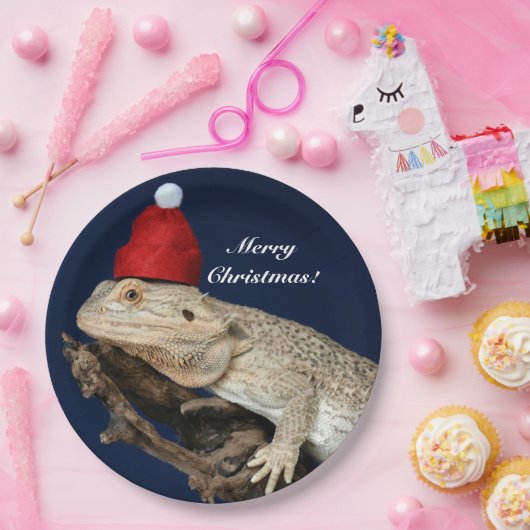 Personalisierter Bartdrachenechse - Weihnachtsmann Pappteller (Party)