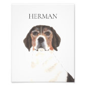 Personalisierter Beagle Art Fotodruck (Vorne)