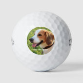Personalisierter Beagle Foto- und Dogenname Golfball (Vorderseite)