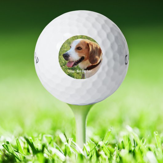 Personalisierter Beagle Foto- und Dogenname Golfball