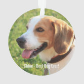 Personalisierter Beagle Foto- und Dogenname Ornament (Rückseite)