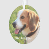 Personalisierter Beagle Foto- und Dogenname Ornament (Vorderseite)