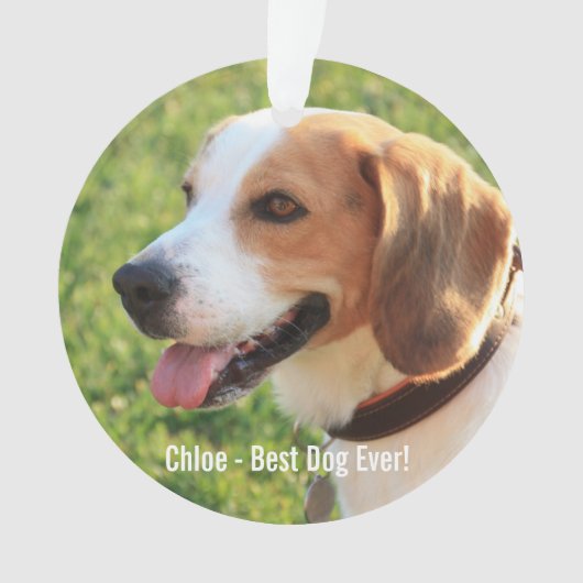 Personalisierter Beagle Foto- und Dogenname Ornament (Vorderseite)