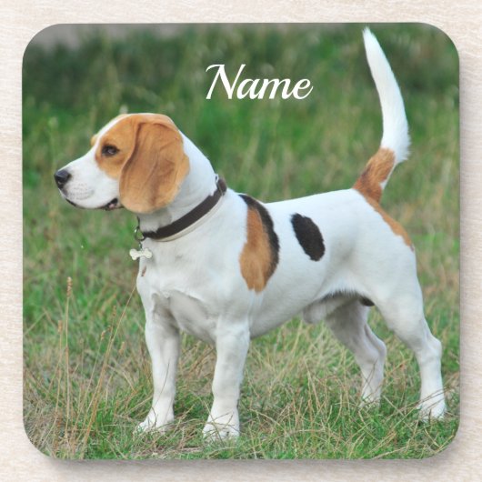 Personalisierter Beagle Hound Hund Getränkeuntersetzer (Vorderseite)