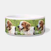 Personalisierter Beagle-HundeFoto-und Hundename