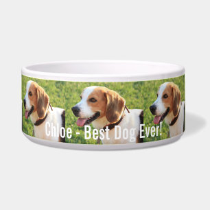 Personalisierter Beagle-HundeFoto-und Hundename Napf