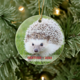 Personalisierter Begleiter Igel Foto Weihnachtsbau Keramik Ornament