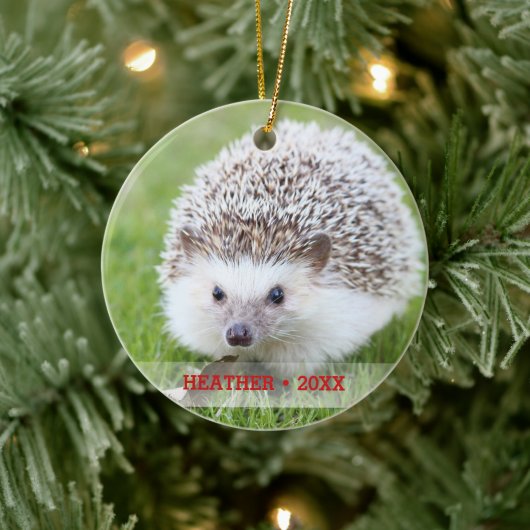 Personalisierter Begleiter Igel Foto Weihnachtsbau Keramik Ornament (Baum)