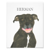 Personalisierter Black Pitbull Staffy Dog Art Fotodruck (Vorne)