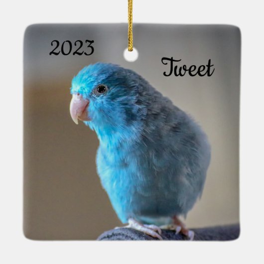 Personalisierter Blauer Parrotlet-Bird Keramikornament (Rückseite)