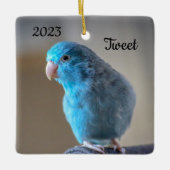 Personalisierter Blauer Parrotlet-Bird Keramikornament (Vorderseite)