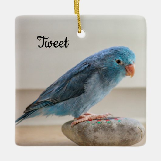 Personalisierter Blauer Parrotlet-Bird Keramikornament (Vorderseite)