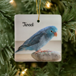 Personalisierter Blauer Parrotlet Keramikornament