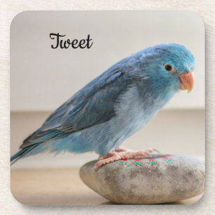 Personalisierter Blauer Parrotlet Pet Bird Getränkeuntersetzer