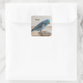 Personalisierter Blauer Parrotlet Pet Bird Quadratischer Aufkleber (Tasche)
