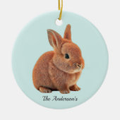 Personalisierter Bunny auf Light Blue Keramik Ornament (Vorne)