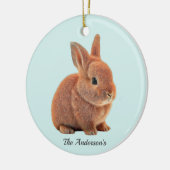 Personalisierter Bunny auf Light Blue Keramik Ornament (Links)