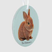Personalisierter Bunny auf Light Blue Ornament (Vorderseite)