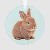 Personalisierter Bunny auf Light Blue Ornament (Rückseite)
