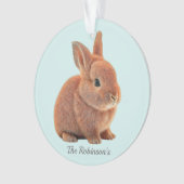 Personalisierter Bunny auf Light Blue Ornament (Vorderseite)