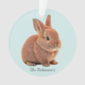 Personalisierter Bunny auf Light Blue Ornament (Vorderseite)