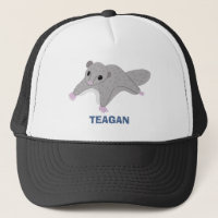 Personalisierter Cartoon Zucker Glider Grau und Bl