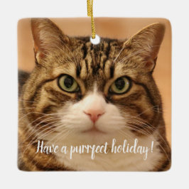 Personalisierter Cat Pet-Gedenkurlaub Keramikornament