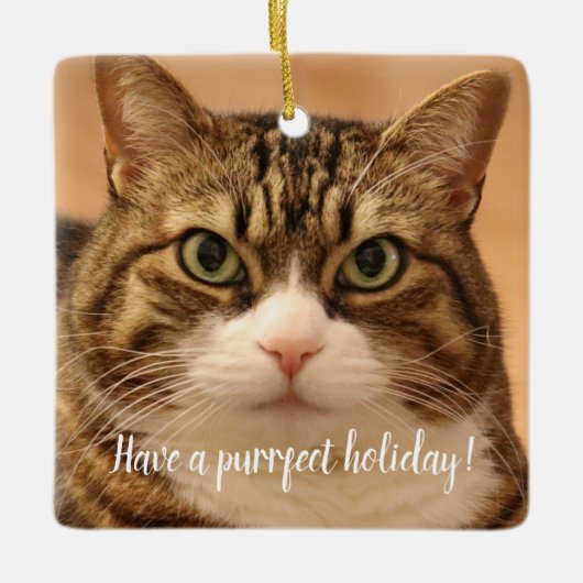 Personalisierter Cat Pet-Gedenkurlaub Keramikornament (Vorderseite)