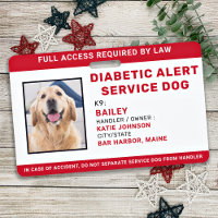 Personalisierter diabetischer Warndienst Hunde Fot
