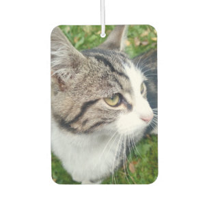 Personalisierter Duft von Haustier-Katzenjacke-Fot Autolufterfrischer