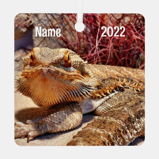 Personalisierter erwachsener Bartdrachenechse Ornament Aus Metall (Rückseite)