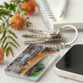 Personalisierter erwachsener Bartdrachenechse Schlüsselanhänger (Vorderseite rechts)