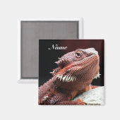 Personalisierter erwachsener roter Bartdrache Magnet (Vorderseite/Rückseite)