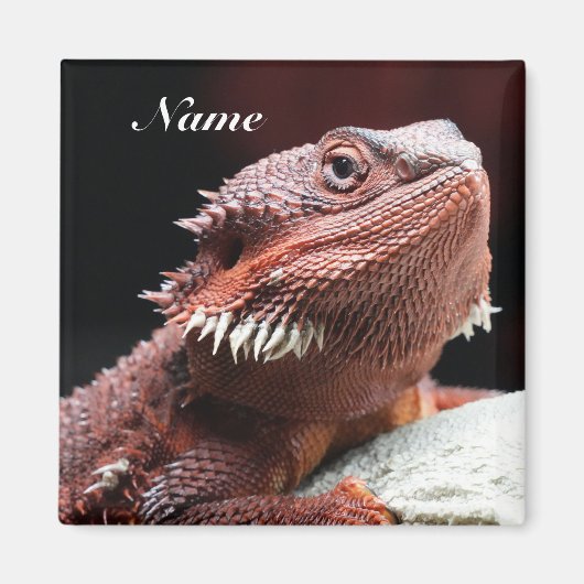 Personalisierter erwachsener roter Bartdrache Magnet (Vorne)